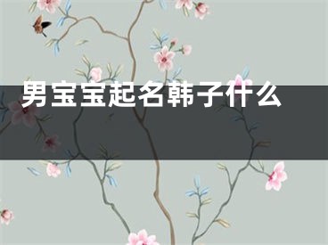  男宝宝起名韩子什么 