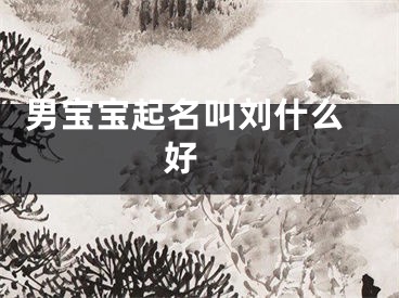  男宝宝起名叫刘什么好 