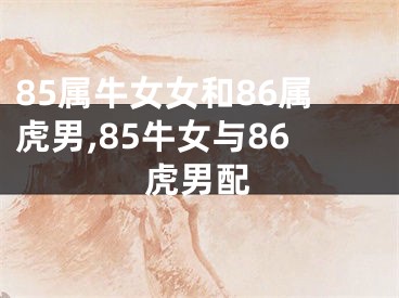 85属牛女女和86属虎男,85牛女与86虎男配