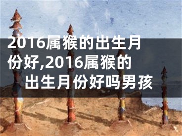 2016属猴的出生月份好,2016属猴的出生月份好吗男孩