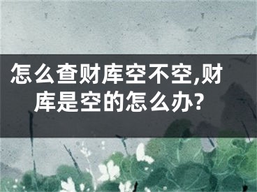 怎么查财库空不空,财库是空的怎么办?