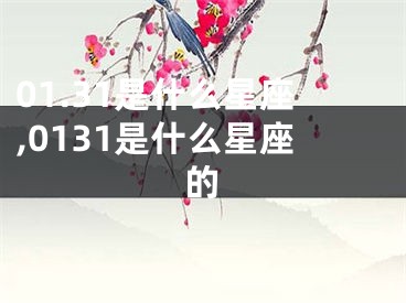 01.31是什么星座,0131是什么星座的