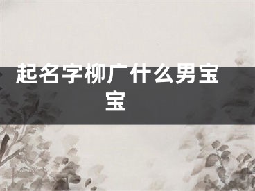  起名字柳广什么男宝宝 