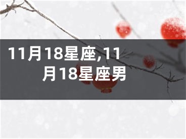 11月18星座,11月18星座男