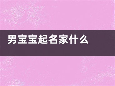  男宝宝起名家什么 