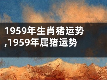 1959年生肖猪运势,1959年属猪运势