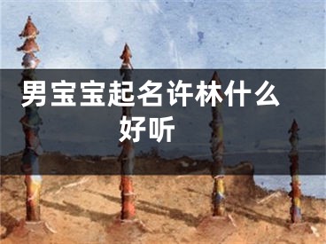  男宝宝起名许林什么好听 