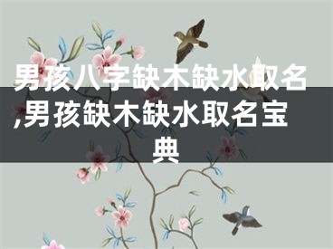 男孩八字缺木缺水取名,男孩缺木缺水取名宝典