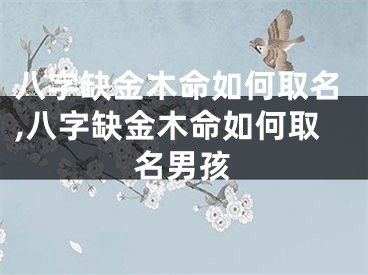 八字缺金木命如何取名,八字缺金木命如何取名男孩