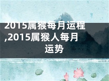 2015属猴每月运程,2015属猴人每月运势