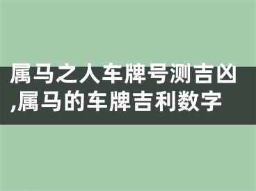 属马之人车牌号测吉凶,属马的车牌吉利数字