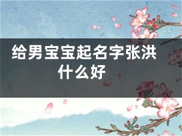  给男宝宝起名字张洪什么好 