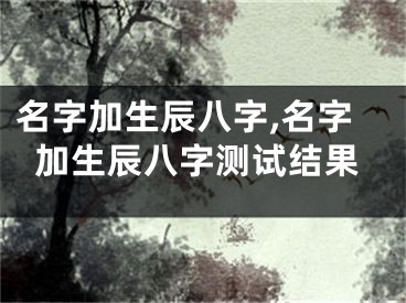 名字加生辰八字,名字加生辰八字测试结果