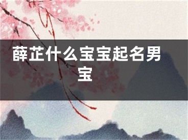  薛芷什么宝宝起名男宝 