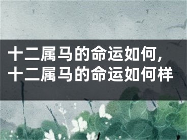 十二属马的命运如何,十二属马的命运如何样