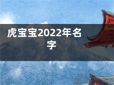  虎宝宝2022年名字 