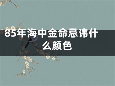 85年海中金命忌讳什么颜色