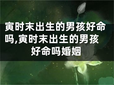 寅时末出生的男孩好命吗,寅时末出生的男孩好命吗婚姻