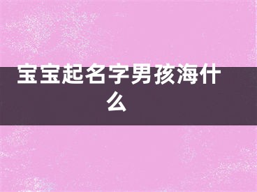  宝宝起名字男孩海什么 