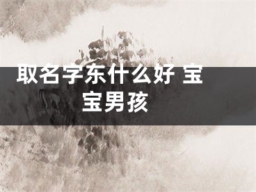  取名字东什么好 宝宝男孩 