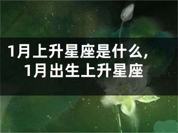 1月上升星座是什么,1月出生上升星座