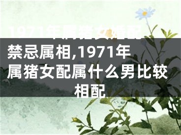 1971年属猪女婚配禁忌属相,1971年属猪女配属什么男比较相配