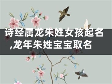 诗经属龙朱姓女孩起名,龙年朱姓宝宝取名