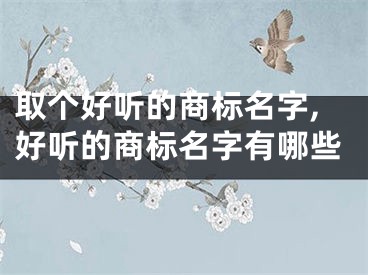 取个好听的商标名字,好听的商标名字有哪些