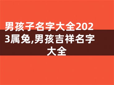 男孩子名字大全2023属兔,男孩吉祥名字大全