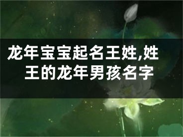 龙年宝宝起名王姓,姓王的龙年男孩名字