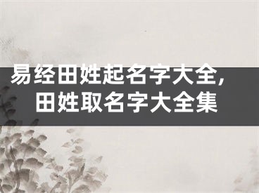 易经田姓起名字大全,田姓取名字大全集