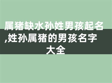 属猪缺水孙姓男孩起名,姓孙属猪的男孩名字大全