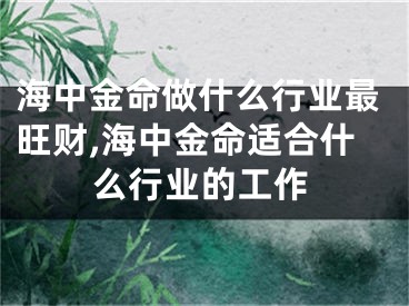 海中金命做什么行业最旺财,海中金命适合什么行业的工作