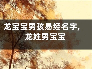 龙宝宝男孩易经名字,龙姓男宝宝