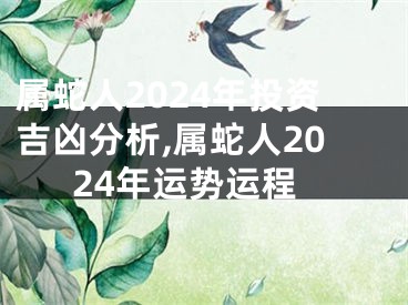 属蛇人2024年投资吉凶分析,属蛇人2024年运势运程