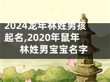 2024龙年林姓男孩起名,2020年鼠年林姓男宝宝名字