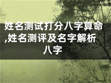 姓名测试打分八字算命,姓名测评及名字解析 八字