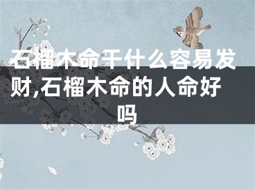 石榴木命干什么容易发财,石榴木命的人命好吗