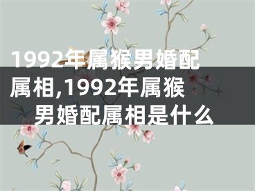 1992年属猴男婚配属相,1992年属猴男婚配属相是什么