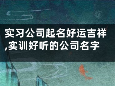 实习公司起名好运吉祥,实训好听的公司名字