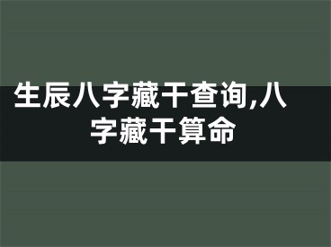 生辰八字藏干查询,八字藏干算命