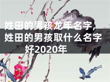 姓田的男孩龙年名字,姓田的男孩取什么名字好2020年