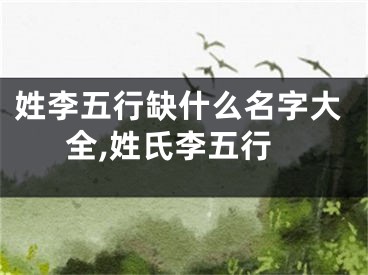 姓李五行缺什么名字大全,姓氏李五行