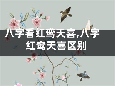 八字看红鸾天喜,八字红鸾天喜区别