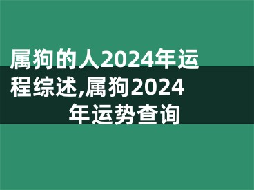 属狗的人2024年运程综述,属狗2024年运势查询