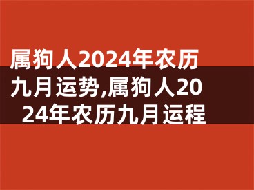 属狗人2024年农历九月运势,属狗人2024年农历九月运程