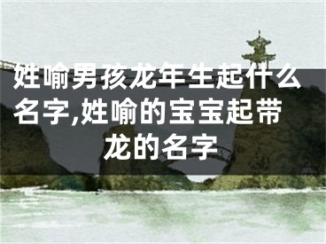 姓喻男孩龙年生起什么名字,姓喻的宝宝起带龙的名字