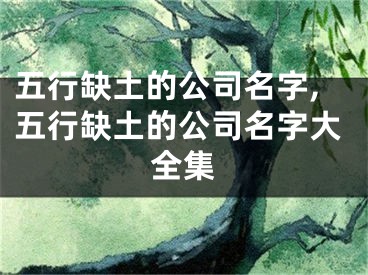 五行缺土的公司名字,五行缺土的公司名字大全集