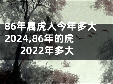 86年属虎人今年多大2024,86年的虎2022年多大