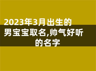 2023年3月出生的男宝宝取名,帅气好听的名字